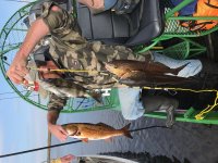 IMG_2050.JPG