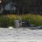 airboatkoa