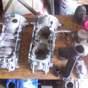 Case_halfs_Rotax_532_jpg