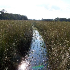 not much water