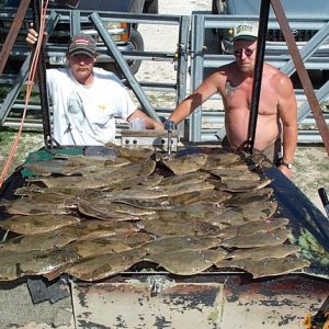 gigging flounder