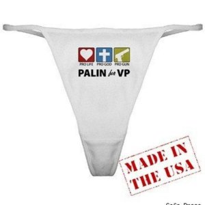 Palin's panties