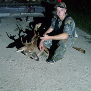 8pt