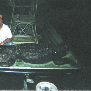 scan6