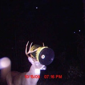 BucketHead2