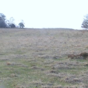 FREEDOM_RIDE_2-20-10_027