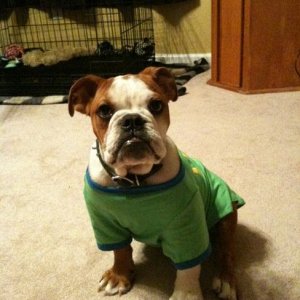 Hank
