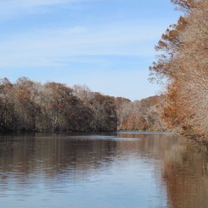 The Withlacoochee River north of 44