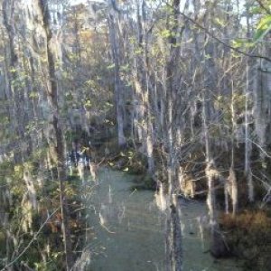 airboat_post_vid_pic_256