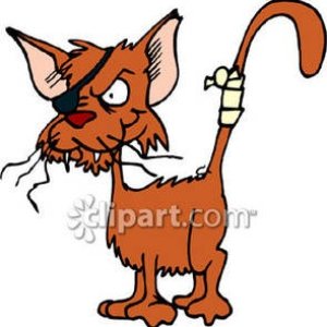 Cat_Tail