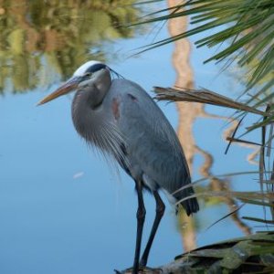 Wife playing with new camera!