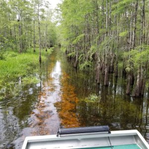 Ride with Aaron Farber - 40 Mile Bend -6-10-18 (69)