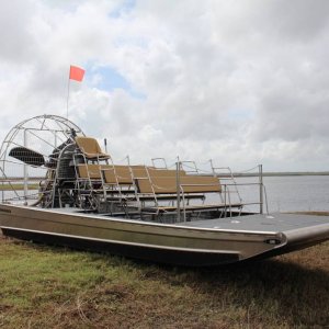 BILLIE SWAMP #2 (13)