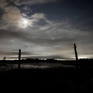 IMG_8630.jpeg