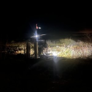 IMG_8635.jpeg