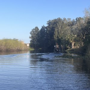 IMG_8720.jpeg