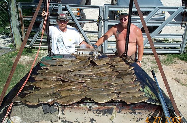 gigging flounder