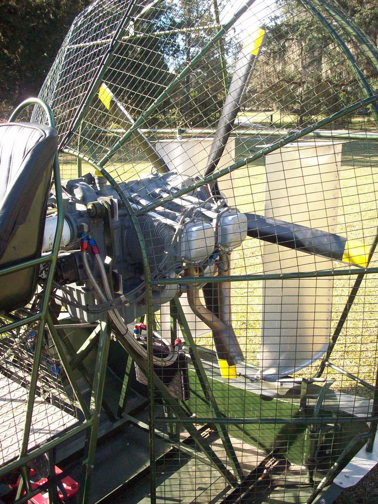 Grasshopper