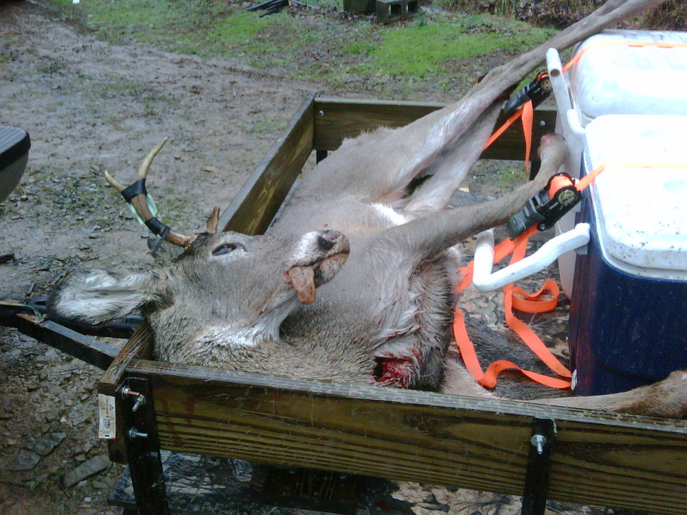 My son's 4 point