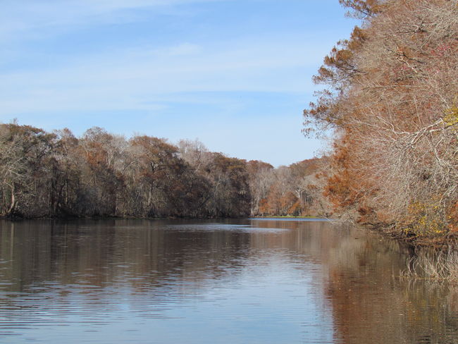 The Withlacoochee River north of 44