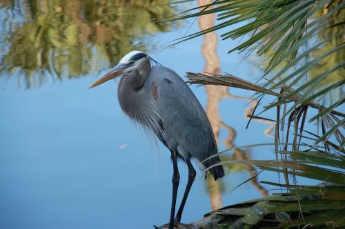 Wife playing with new camera!